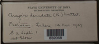 Image Associated With the Occurence